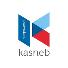 Partner 2
